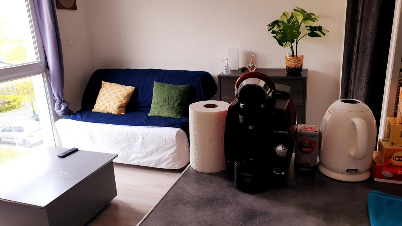 Ferienwohnung Studio Individuel - Le Musset & Parking Gratuit Devant L'Immeuble Grenoble Exterior foto